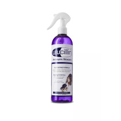 Leucillin Antiseptic Skincare Spray - 500ml
