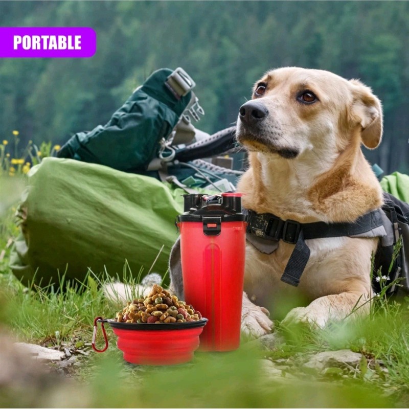Dual flask for dogs