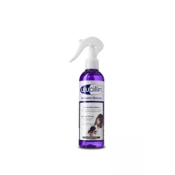 Leucillin Antiseptic Skincare 250 ml Spray