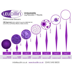 Leucillin Antiseptic Skincare 250 ml Spray