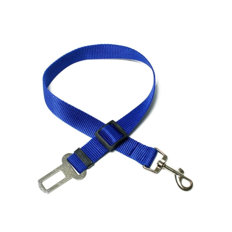 Dog seat belt