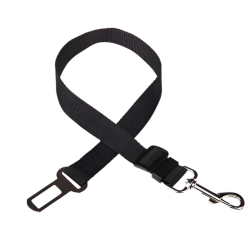 Dog seat belt