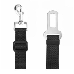 Dog seat belt