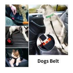 Dog seat belt