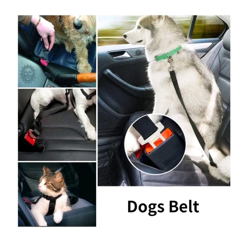 Dog seat belt