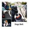 Dog seat belt