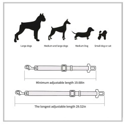 Dog seat belt