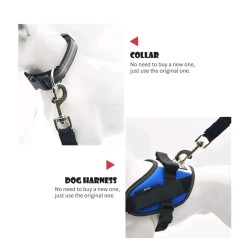 Dog seat belt