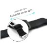 Dog seat belt