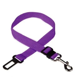 Dog seat belt