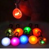 LED Light for Dog Collar or Harness - Safety and Visibility for Pets at Night