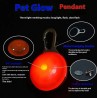 Brighten Your Dog's Safety with an LED Light for Collar or Harness