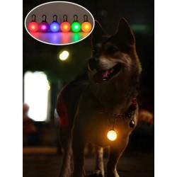 LED Light for Dog Collar or Harness - Keep Your Pet Safe at Night