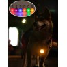 LED Light for Dog Collar or Harness - Keep Your Pet Safe at Night
