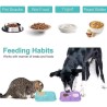Licky mats slow feeder for dogs