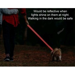 5ft lead in pink with reflective banding and padded handle.
