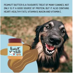 Peamutt butter 340g