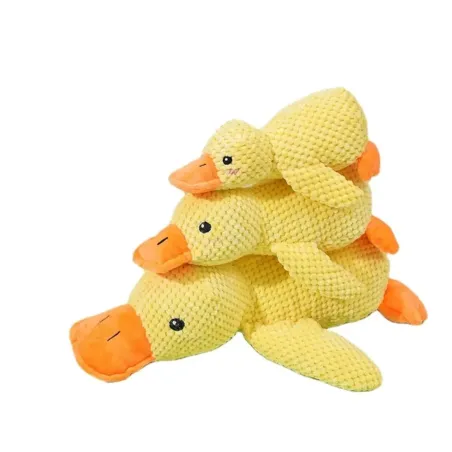 Duck toy with a duck call or squeaker. In small, medium and large