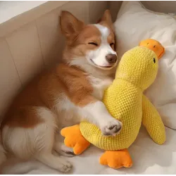 Duck toy with a duck call or squeaker. In small, medium and large