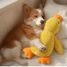 Duck toy with a duck call or squeaker. In small, medium and large