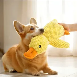 Duck toy with a duck call or squeaker. In small, medium and large