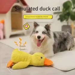 Duck toy with a duck call or squeaker. In small, medium and large