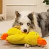 Duck toy with a duck call or squeaker. In small, medium and large