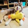 Duck toy with a duck call or squeaker. In small, medium and large