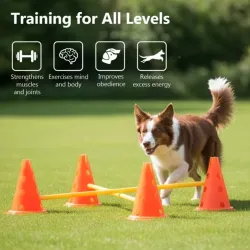 Dog hurdles for training and rehabilitation