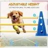 Dog hurdles for training and rehabilitation
