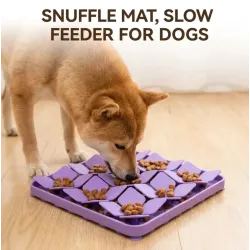 Petal Design Slow Feeder