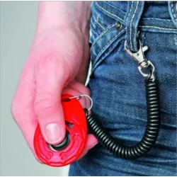 Basic Clicker