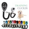 Basic Clicker