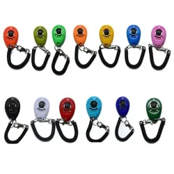 Basic Clicker