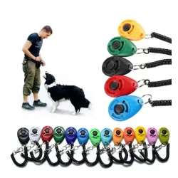 Basic Clicker