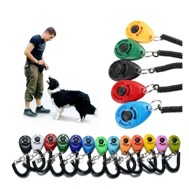Basic Clicker