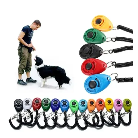 Basic Clicker