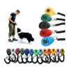 Basic Clicker