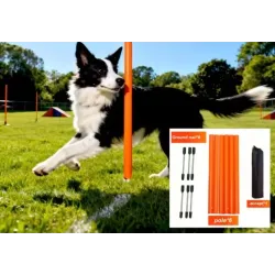 Set of 6 dog agility weaving poles