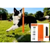 Set of 6 dog agility weaving poles
