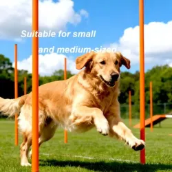 Set of 6 dog agility weaving poles