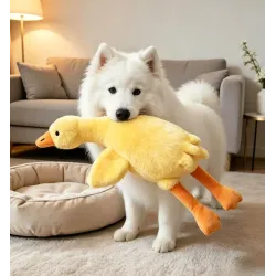 50cm Large Duck Toy for Dogs | Ultimate Playtime Companion