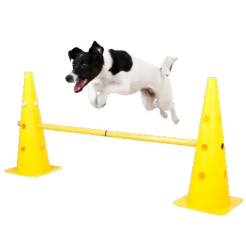 Your Happy Dog Single Dog Hurdle - Interactive Training Fun