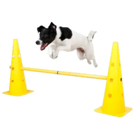 Your Happy Dog Single Dog Hurdle - Interactive Training Fun