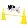 Your Happy Dog Single Dog Hurdle - Interactive Training Fun