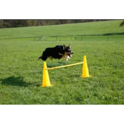 Transform Your Dog's Agility Skills with the Single Dog Hurdle