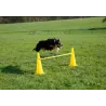 Transform Your Dog's Agility Skills with the Single Dog Hurdle
