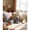 50cm Grey Duck Toy for Dogs - Durable & Interactive Playtime
