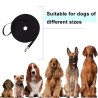 Durable and Long-Lasting Long Lead in Blue - High-Quality Alloy and Polyester Leash