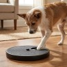Dog Nail Scratch Board and Treat Puzzle Dog Nail File